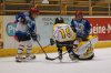 DSC_02 (23)
